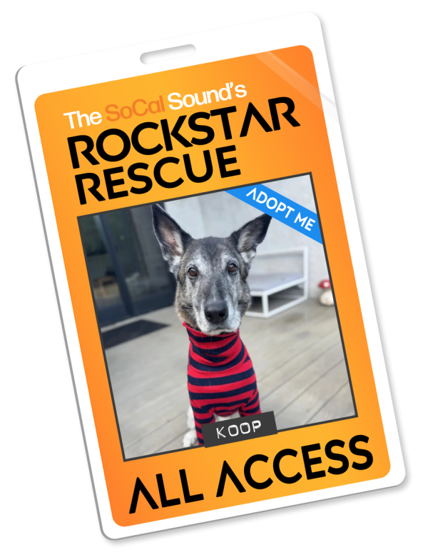 KCSN RockstarRescue PotW 030426 Pass 1